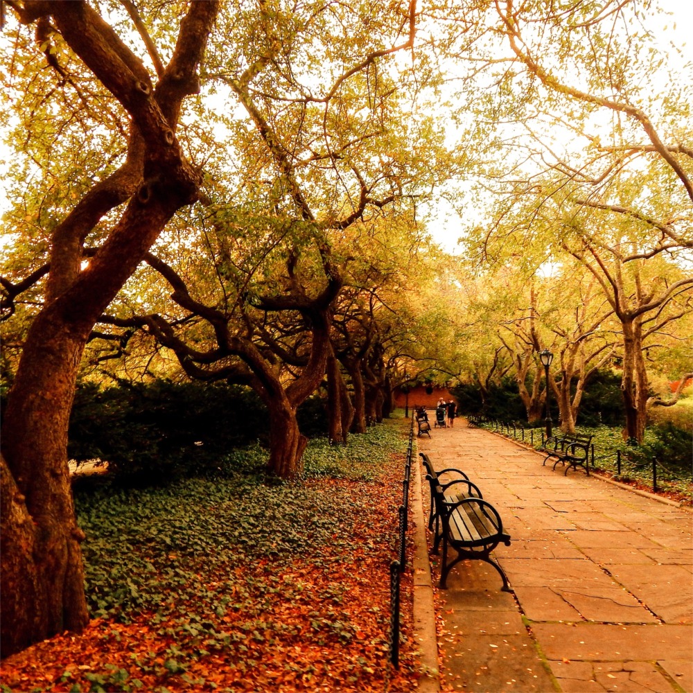 Fall in Central Park, Manhattan, New York City.