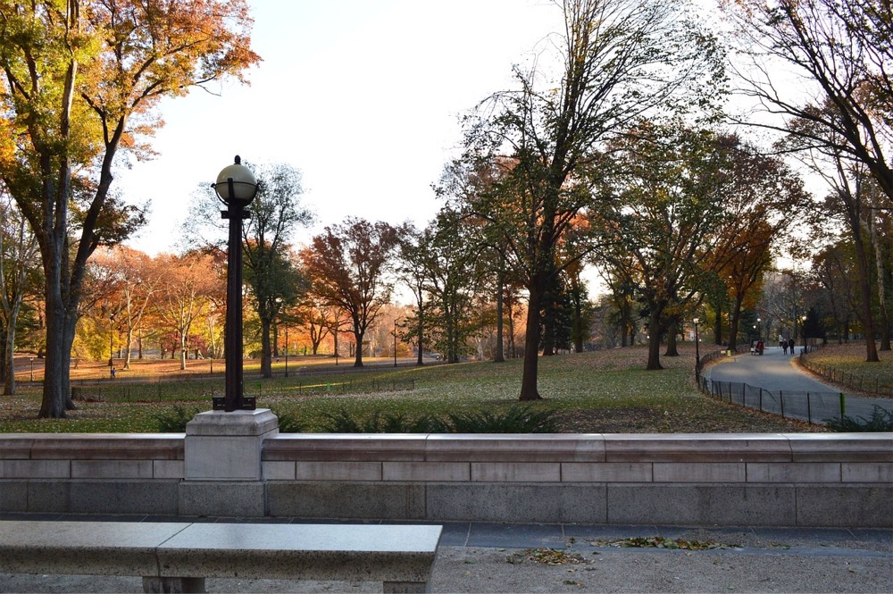 Fall in Central Park, Manhattan, New York City.